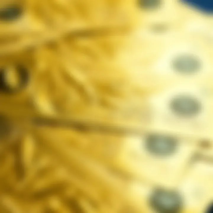 A close-up view of Nevada Goldbacks showcasing their intricate design